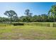 A large, well-maintained grassy yard with mature trees and a classic wooden fence at 3452 Forelock Rd, Tarpon Springs, FL 34688