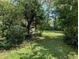 A lush green backyard, offering privacy and a peaceful outdoor retreat at 503 Sunset Rd, Plant City, FL 33563