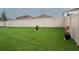 Large, fenced backyard with green lawn, offering privacy and space for recreation at 5687 Barakat Rd, Zephyrhills, FL 33541