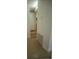 The hallway has tiled floors and gives access to the other rooms at 7510 N Tampania Ave, Tampa, FL 33614