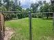 Expansive fenced backyard with lush green grass, perfect for outdoor activities at 9902 N Myrtle St, Tampa, FL 33617