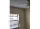 Bright bedroom with a ceiling fan and a window offering natural light at 9902 N Myrtle St, Tampa, FL 33617