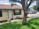 Single-story home with a classic facade, complemented by a mature shade tree at 9902 N Myrtle St, Tampa, FL 33617
