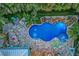 Aerial view of the backyard showcasing the pool, patio, fire pit, and tropical landscaping at 1217 N Florida Ave, Tarpon Springs, FL 34689