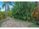 Serene backyard with a stone path winding through lush tropical foliage at 1217 N Florida Ave, Tarpon Springs, FL 34689