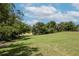 Expansive backyard with lush grass, tall trees, and a distant fence at 1617 Dawnridge Ct, Brandon, FL 33510