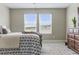 Bright bedroom with two windows, plush carpet, and calming blue accents at 18696 Malinche Loop, Spring Hill, FL 34610