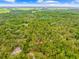 Aerial view of mature, lush Florida landscape with the property location indicated at 19555 Phillips Rd, Brooksville, FL 34604