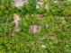 Aerial view of a home surrounded by lush, mature trees at 19555 Phillips Rd, Brooksville, FL 34604
