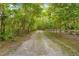 Long, private driveway winding through lush greenery, offering seclusion and a grand entrance at 19555 Phillips Rd, Brooksville, FL 34604