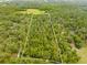 Aerial view showcasing a large parcel of land surrounded by mature trees and greenery at 19555 Phillips Rd, Brooksville, FL 34604
