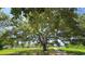 Lush tree-lined path providing a scenic route through the verdant community, perfect for leisurely strolls at 2192 Swedish Dr # 10, Clearwater, FL 33763