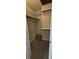 Walk-in closet with shelving units and carpet flooring offers ample storage space at 2332 S Fairway Dr, Plant City, FL 33566