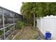 View of the backyard featuring mature trees, greenery, and a screened-in pool at 2470 Del Rio Way, Dunedin, FL 34698