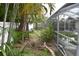 Backyard view featuring mature landscaping, a wooden fence, and a screened in pool at 2470 Del Rio Way, Dunedin, FL 34698