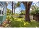 Large backyard with artificial turf, landscaping, and a large shade tree perfect for outdoor enjoyment at 2709 Upton S St, Gulfport, FL 33711