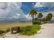 Scenic beach with palm trees and a wooden bench under a cloudy sky, inviting relaxation and coastal charm at 39650 Us Hwy 19 N, Tarpon Springs, FL 34689