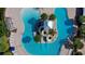 Aerial view of a uniquely shaped pool featuring water slides and ample lounge seating at 6127 Colmar Pl, Apollo Beach, FL 33572