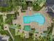 Resort-style pool with a fountain feature, palm trees, lounge chairs and landscaped walkway at 820 Normandy Trace Rd, Tampa, FL 33602
