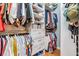 Organized walk-in closet features ample storage with shelves, drawers, and hanging rods at 820 Normandy Trace Rd, Tampa, FL 33602