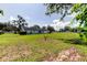 Spacious backyard with mature trees, complemented by a white fence for added privacy at 9918 Davis Rd, Tampa, FL 33637