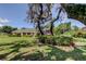 Landscaped front yard with mature trees, offering a serene view of the home's facade at 9918 Davis Rd, Tampa, FL 33637
