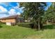 Expansive backyard with lush greenery, a screened-in patio, and mature trees at 11551 Callisia Dr, Odessa, FL 33556