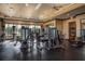 The community gym offers a wide variety of workout machines, including treadmills, weight machines, and free weights at 11551 Callisia Dr, Odessa, FL 33556