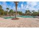 Stunning community pool with palm trees and plenty of lounge seating for residents to enjoy the Florida sunshine at 11551 Callisia Dr, Odessa, FL 33556