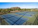 Well-maintained tennis courts provide residents with ample opportunities for recreation and fitness at 11551 Callisia Dr, Odessa, FL 33556