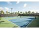 Community tennis courts offer a great space to play, with nice green and blue courts, surrounded by mature palms at 11551 Callisia Dr, Odessa, FL 33556