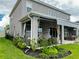 Backyard exterior with a covered patio, seating, lighting, plants and manicured grass at 33560 Castaway Loop, Wesley Chapel, FL 33543