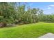 Spacious backyard with lush green grass and wooded area at the edge at 4149 Winding River Way, Land O Lakes, FL 34639