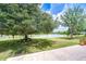 Relaxing backyard featuring lush greenery, a large tree, and a view of the tranquil lake at 4227 Bethpage Ct, Wesley Chapel, FL 33543