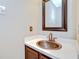 Charming bathroom featuring a copper sink with a decorative frame mirror and neutral wall color at 4227 Bethpage Ct, Wesley Chapel, FL 33543