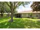 Beautiful backyard with green lawn, shady trees, and a screened patio at 4228 Silver Star Dr, Spring Hill, FL 34609