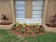 Exterior home view featuring well-maintained landscaping with mulch, plants, and lawn at 505 Innergary Pl, Valrico, FL 33594