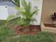 Exterior of a home with a palm tree, tropical plants, and fresh mulch at 505 Innergary Pl, Valrico, FL 33594