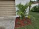 Landscaping featuring wood mulch, decorative stone, and a palm tree next to the garage at 505 Innergary Pl, Valrico, FL 33594