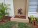 Landscaping with a palm tree and tropical plant in a raised planter bed with fresh mulch at 505 Innergary Pl, Valrico, FL 33594