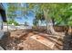 Spacious backyard featuring a large tree, offering shade and privacy in a natural setting at 6738 Criswell N Ave, St Petersburg, FL 33709