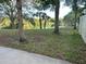 Picturesque backyard features mature trees and a tranquil lake view, offering a serene outdoor space at 701 S Madison Ave # 515, Clearwater, FL 33756
