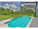 A refreshing screened-in pool with lush greenery and serene outdoor views at 7114 Cromwell Park Ln, Apollo Beach, FL 33572