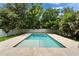 A newly constructed in-ground pool in backyard features light stone pavers, steps and lush landscaping for privacy at 719 58Th S St, Gulfport, FL 33707
