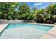 Large in-ground pool in backyard featuring white stone pavers, steps, and lush landscaping for privacy at 719 58Th S St, Gulfport, FL 33707