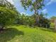 Lush green backyard featuring mature trees and tropical landscaping, creating a private oasis at 7444 119Th Ave, Largo, FL 33773