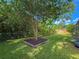 Well-maintained backyard with a framed tree area, lush lawn, and mature trees for added privacy at 7444 119Th Ave, Largo, FL 33773