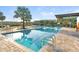 Outdoor pool with crystal-clear water and palm trees at 7616 Paradiso Dr, Apollo Beach, FL 33572