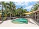 Lush backyard with pool, hot tub, hammock, and lounge chairs, perfect for relaxation and entertaining at 1 Mandarin Ter, Safety Harbor, FL 34695
