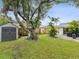 Spacious backyard with a shed, lush lawn, and mature trees, perfect for outdoor activities at 11762 Barb Ct, Seminole, FL 33778